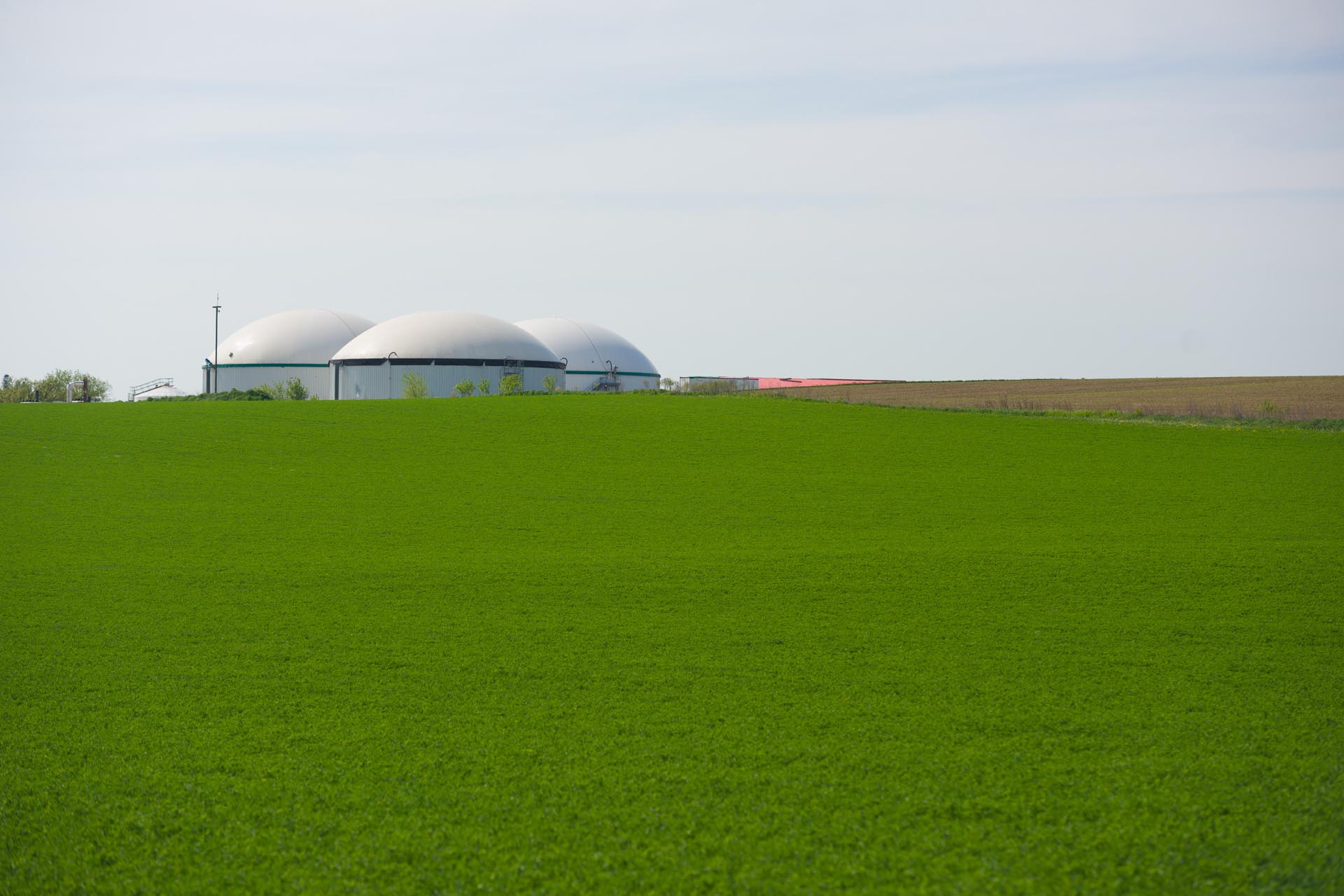 Field with digesters