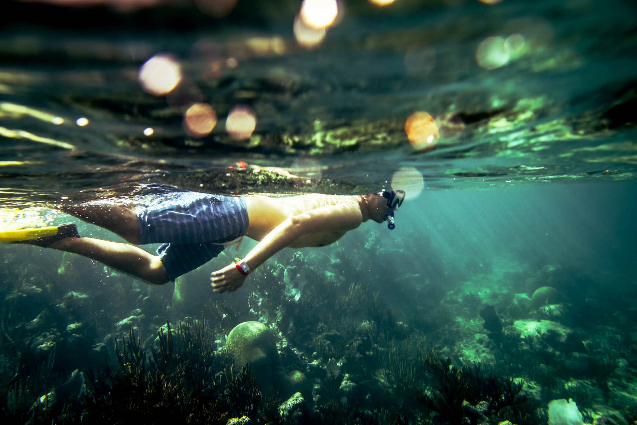 Man Diving in Ocean Reefs