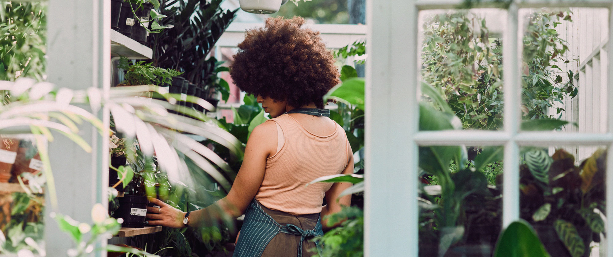 Black woman shopping in her plant shop