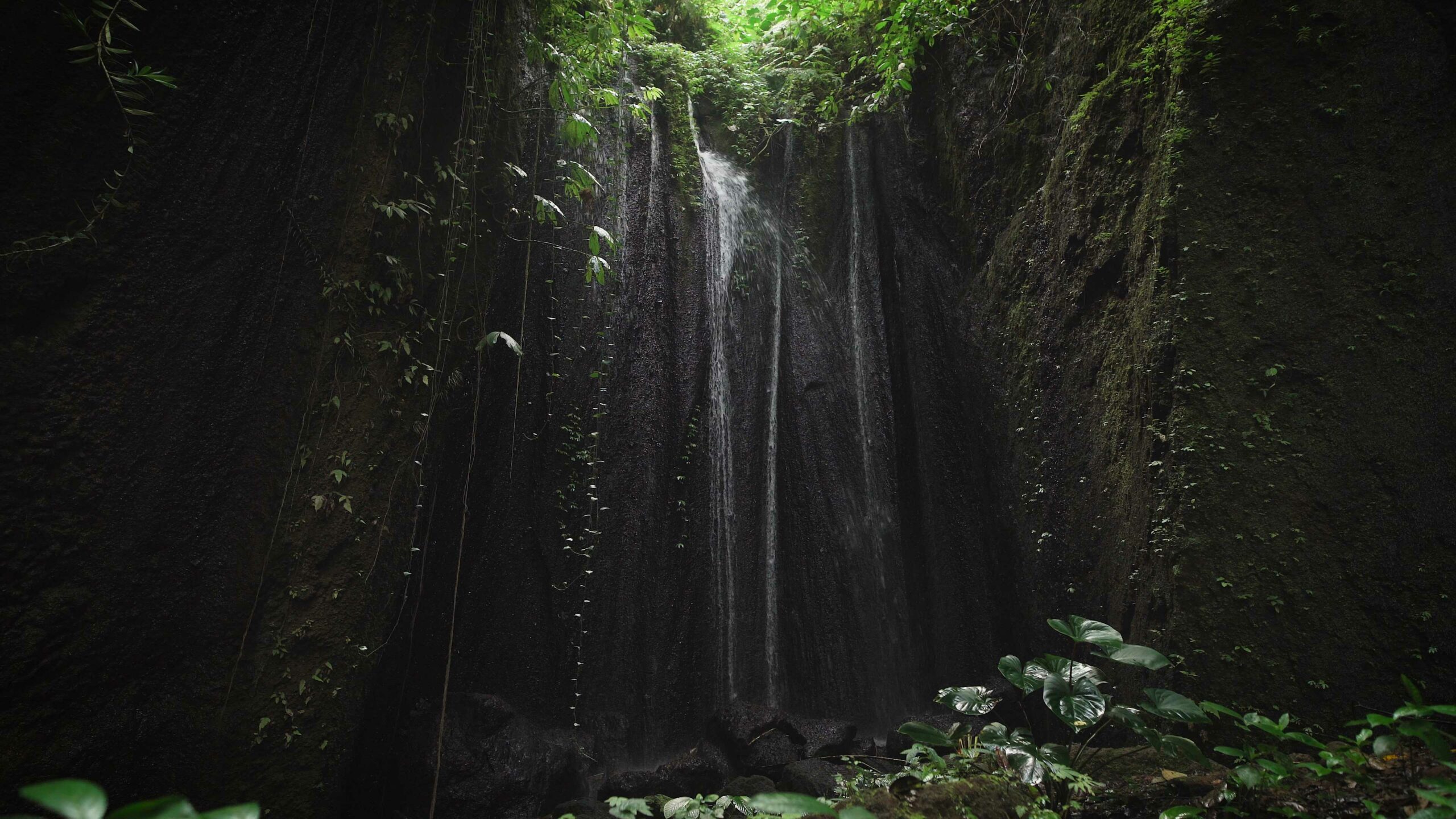 Calm waterfall in dark green forest
