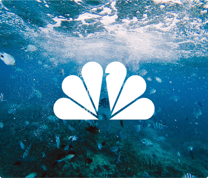 Fish swimming in the ocean with NBC 6 logo in the foreground.