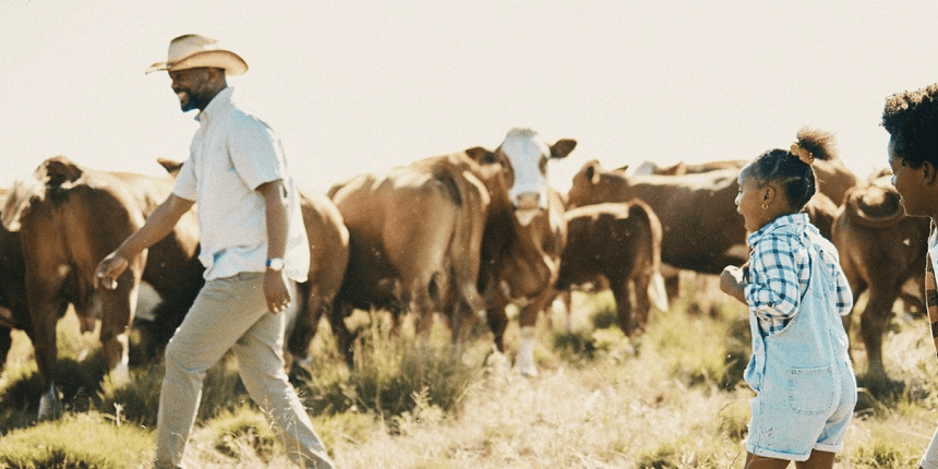 A man and his son walking through a field of cows.