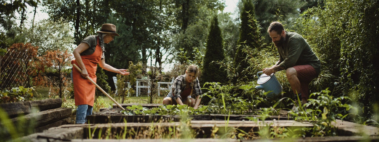 People in a garden working