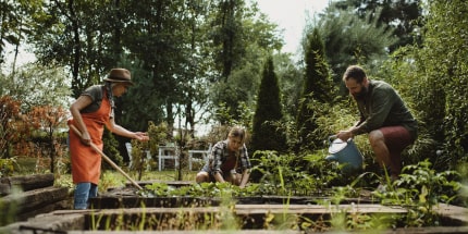 People in a garden working
